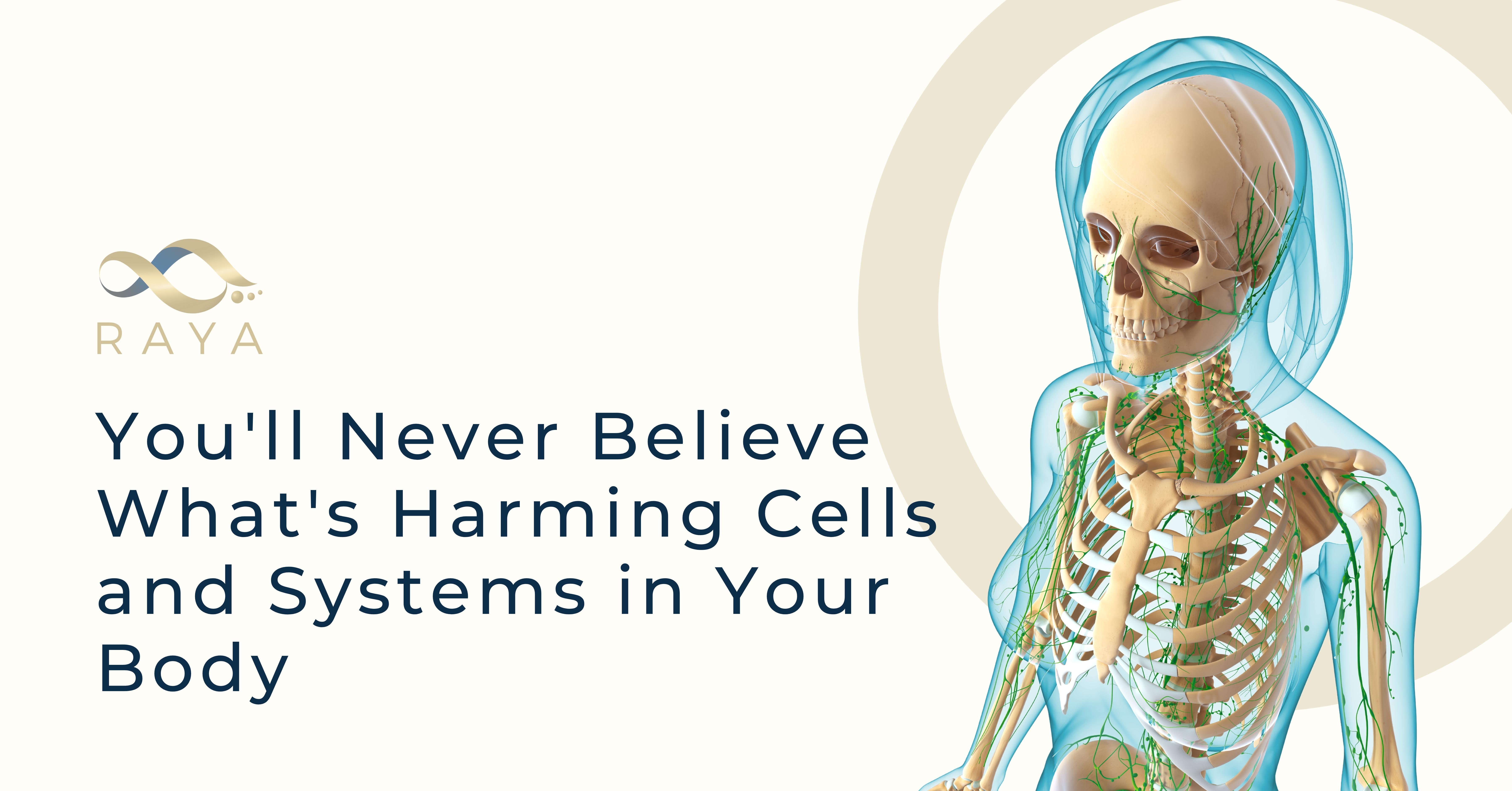You’ll Never Believe What’s Harming Cells and Systems in Your Body